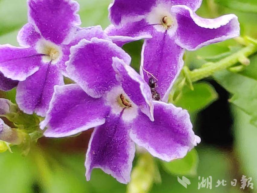 金阳登录